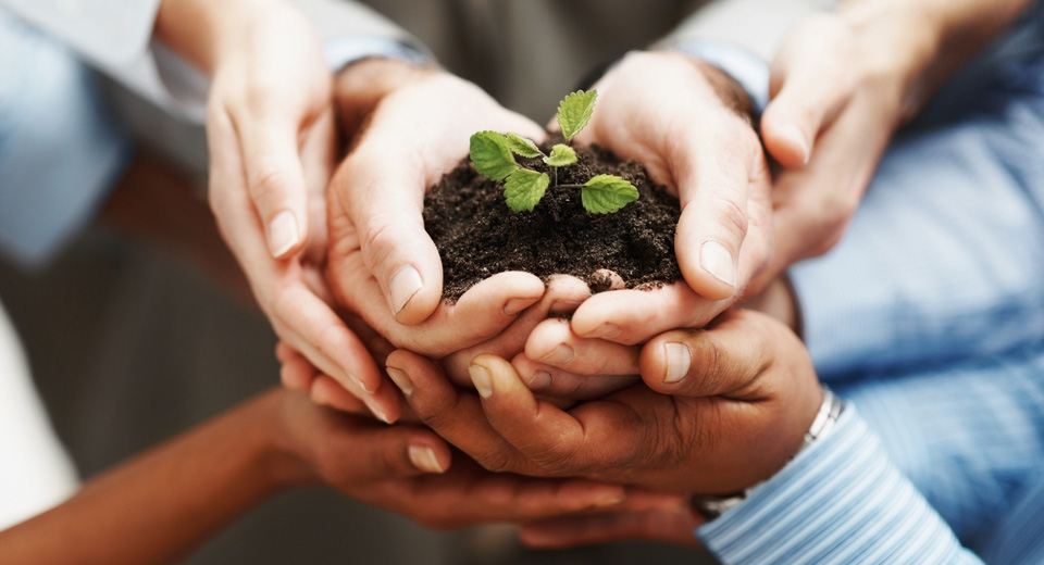 Định hướng và phát triển